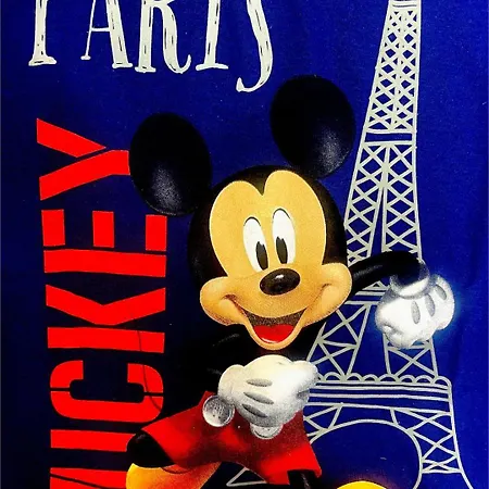 Family's House - Proche De La Vallee Village Et Disneyland Paris ,2 Parkings, Air Condition *