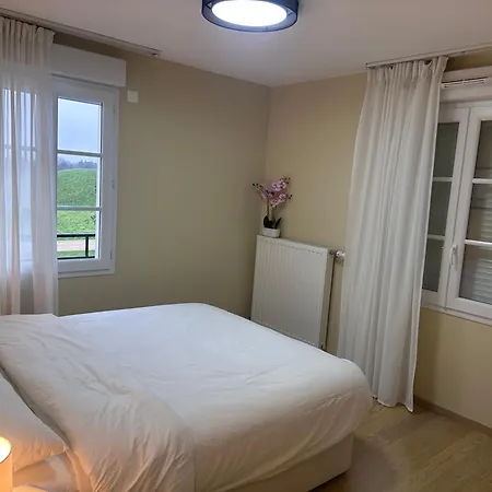 Family's House - Proche De La Vallee Village Et Disneyland Paris ,2 Parkings, Air Condition